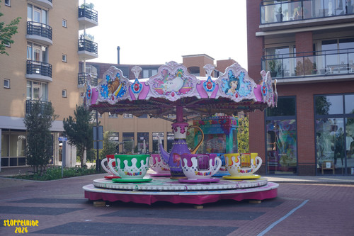DSC00328 Watermarked.jpg