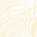 2e15cce31388.png