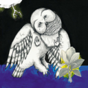 5369d0cf8726.png