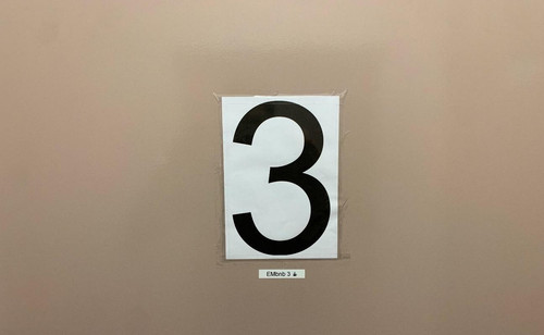 20 photo p8.jpg