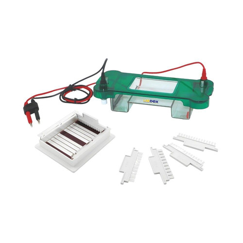 Gel Electrophoresis System for Research Labs | Labdex.jpg