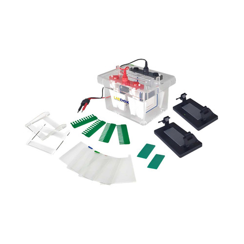 Vertical Electrophoresis Unit for Research Labs | Labdex.jpg