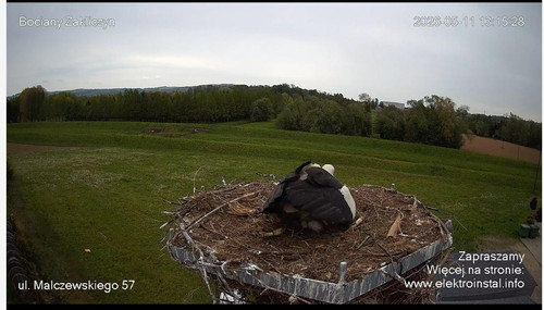 MWSnap213.jpg
