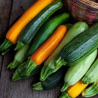 courgette.jpg