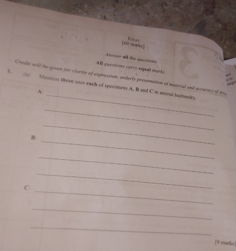 temp.png