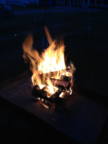 IMG 0297.jpg