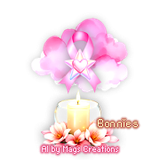 Bonnies 651ºAv
