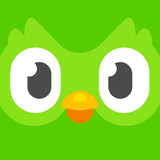 ICON (31)