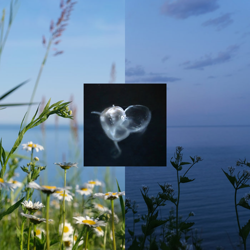 06347b44c520.png
