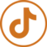 tiktok orange 32