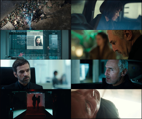 Dog.51.2025.1080p.BluRay.HIN FRE.x264.ESub VegaMovies.ML.mkv.jpg