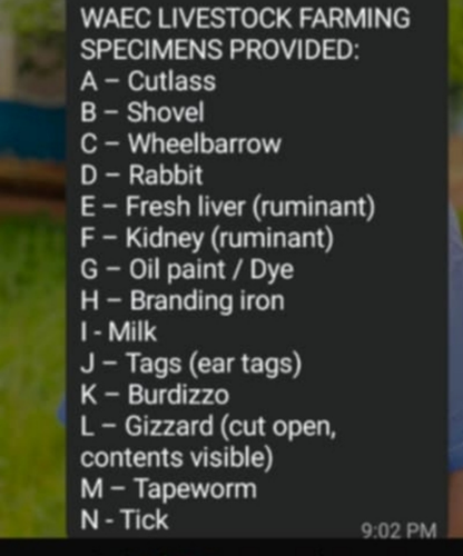 temp.png