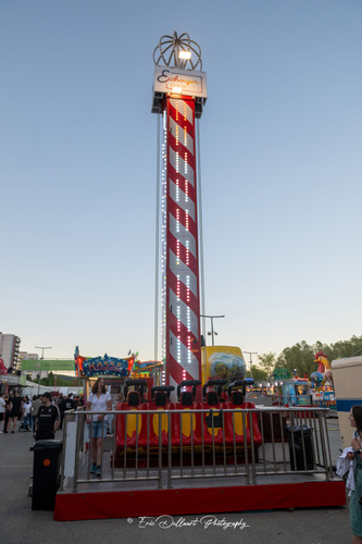 DSC 4209 kopie.jpg