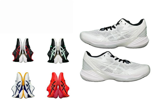 270Asics Sky Elite FF 2.jpg