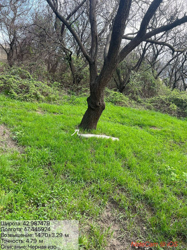 photo 7 2026 04 07 20 30 01.jpg