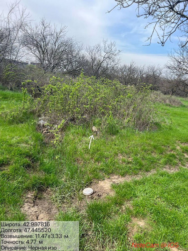 photo 9 2026 04 07 20 30 01.jpg