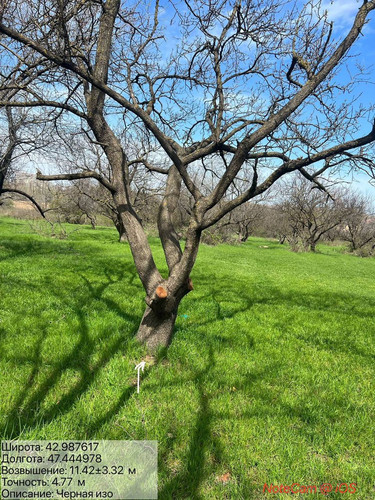 photo 10 2026 04 07 20 30 01.jpg