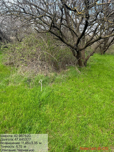 photo 11 2026 04 07 20 30 01.jpg