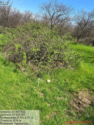 photo 12 2026 04 07 20 30 01.jpg