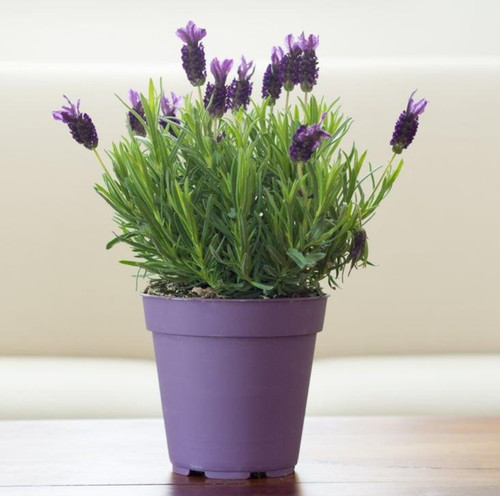 3vC5HwpJwAAro9UR v9OcxDTHFzwmMWgyAcS2vqelyQtoP8r0OAmihPk5L4SqOlPXsMtxSs knS F17TKWzFs69BJ75MjOHaXjDm.jpg