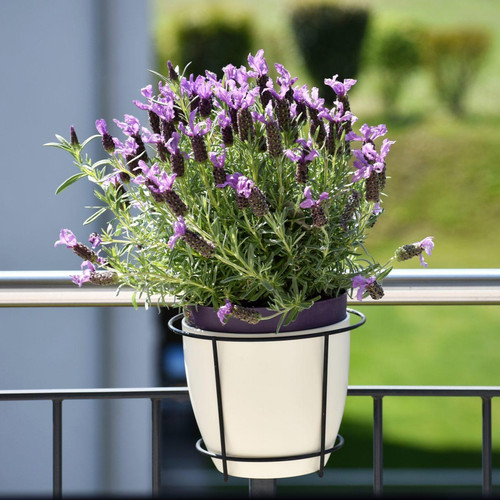 rOJoZFB0B0FTYJQanh FeMqAvKm awa6XK84zyYpfDuq13lMK5rH1p4XxqYvSo5tEdZXOnoamORdvznF AvLrNUdAvCyGxwKPhb2.jpg