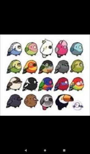 Screenshot 20260408 095042.png