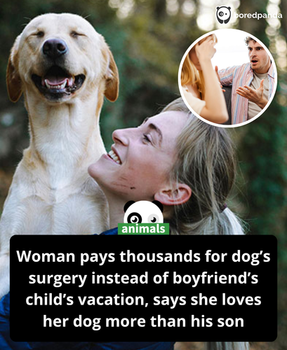 Man Finds Out GF Has Money And Starts Expecting Her To Pay For His Kid, Gets Dumped.png