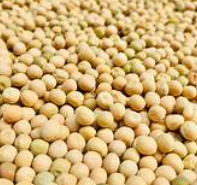 White Peas 500gm
