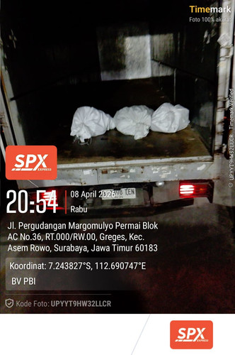 dc154b25 d69e 4eda b137 49363035188d.jpg