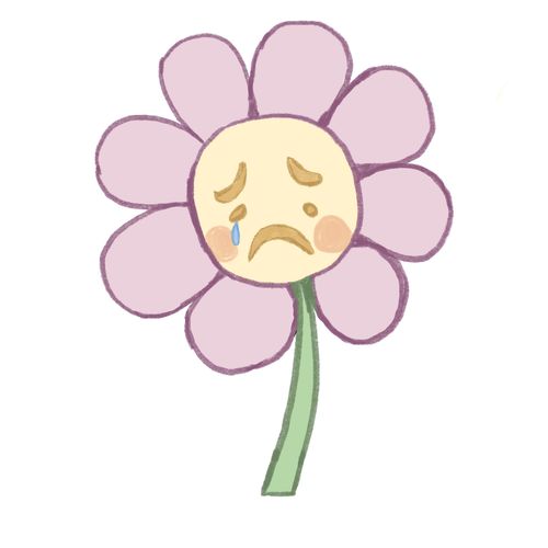 Untitled Artwork (3).png