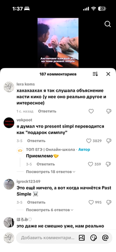 IMG 8023.png
