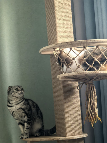 IMG 20260316 131744.jpg