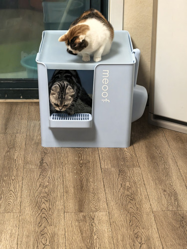 IMG 20260316 234616.jpg