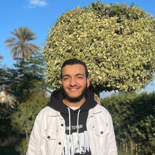 Mostafa elbahrawy.jpg