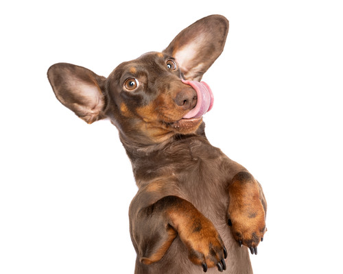 iStock 2155567947.jpg