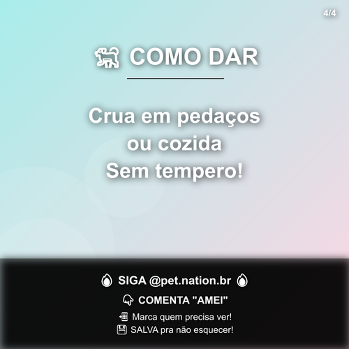 carousel 1775656802442 slide4.png