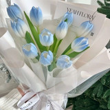 7f508f92 eed8 4055 b165 dd3b458861af.jpg