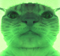 2026 04 07 0i1 Kleki.png