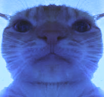 2026 04 07 0hz Kleki.png