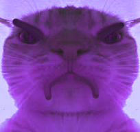 2026 04 07 0i3 Kleki.png