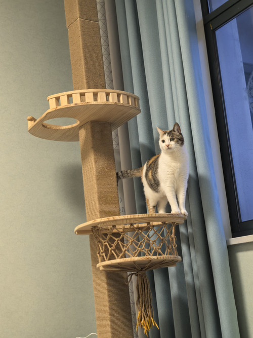 IMG 20260408 184101.jpg