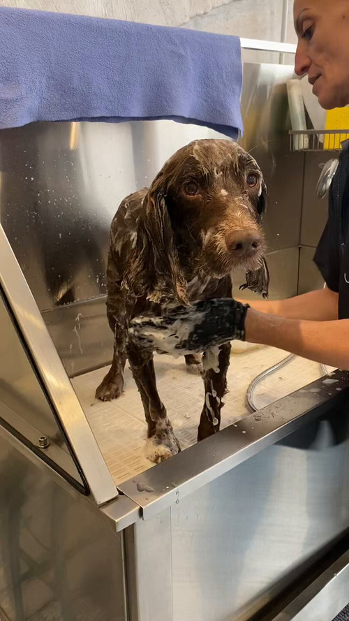 rF4N81EXpI v3lwH.jpg