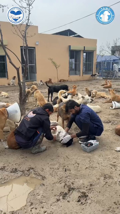 oNmB 2jzu2EBqCSW.jpg