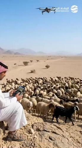 p11qv 9nXiZe7zHh.jpg