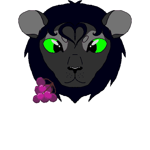 IMG 0582.gif