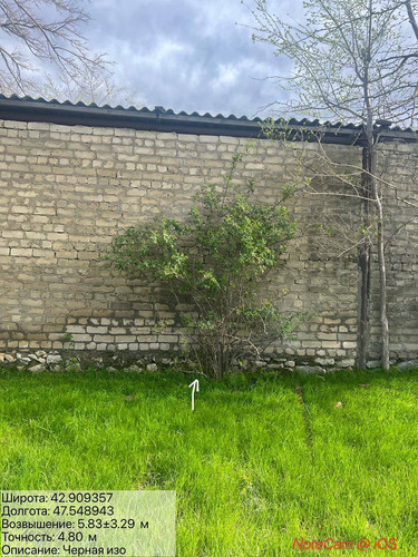 photo 1 2026 04 08 21 20 39.jpg