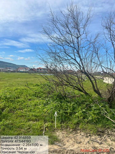 photo 6 2026 04 08 21 20 39.jpg