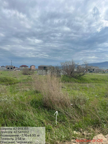 photo 12 2026 04 08 21 20 39.jpg