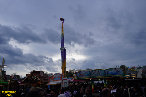 DSC08132 Watermarked.jpg