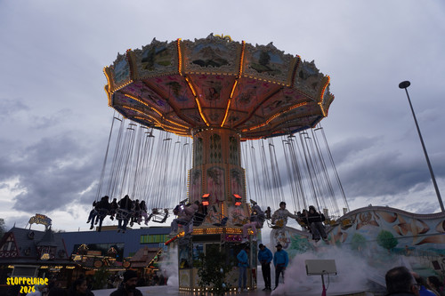 DSC08159 Watermarked.jpg